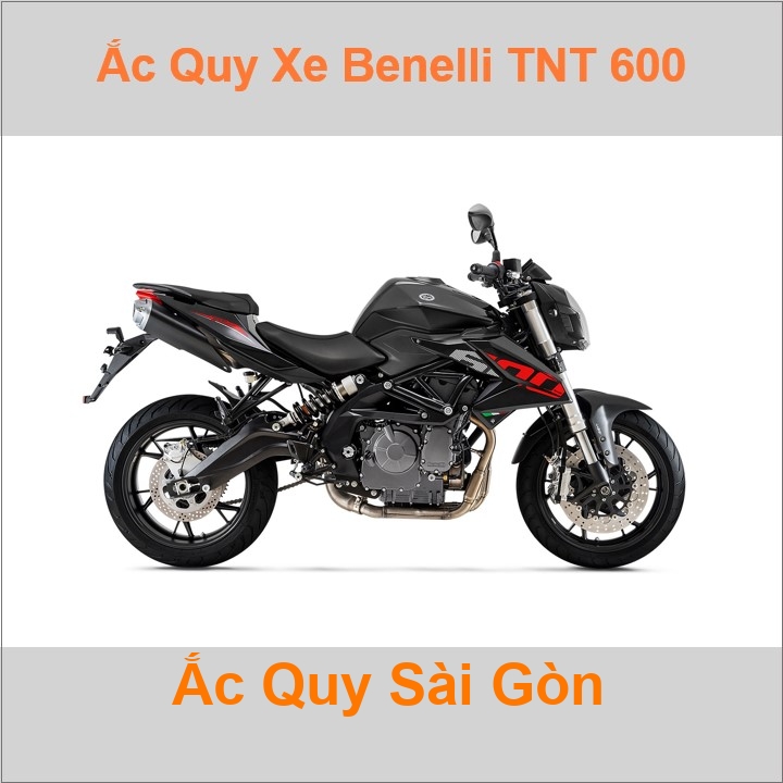 Ắc quy xe mô tô Benelli TNT 600 (2015 - 2018)