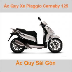 Ắc quy xe tay ga Piaggio Carnaby 125 (2007 - 2013)