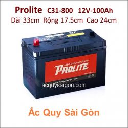 Ắc quy Prolite 12V/100Ah C31-800 Cọc chì