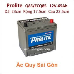 Ắc quy Prolite 12V 65Ah Q85 (EFB-ECQ85)