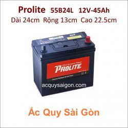 Ắc quy Prolite 12V 45Ah 55B24L (NX100-S6L)