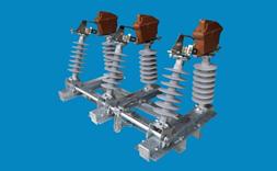 CDPT ngoài trời chém đứng - Silicone - 40.5kV 630A - LBS-2-3 - VinaElectric