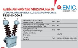 Biến áp cấp nguồn 1 pha 35KV dầu ngoài trời - Emic