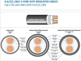 Cáp hạ thế 0.6/1kV 2x10mm2 - Cu/XLPE/PVC - LSVina