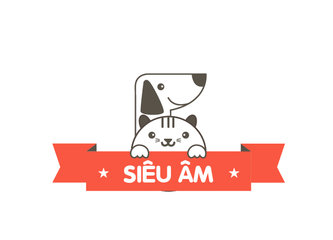 Siêu Âm
