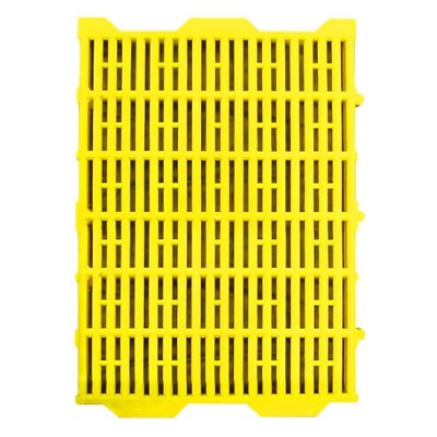 Tấm nhựa lót sàn cho chó, mèo 40*55