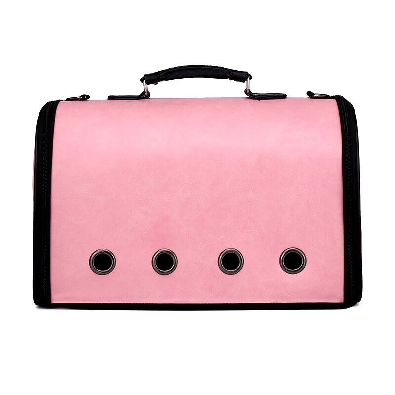 62233323_2499139160136210_6426928408206245888_n