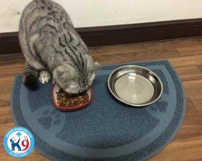 Thảm dậm chân, lót khay ăn cho chó mèo Kitcat hình bán nguyệt size 37*60