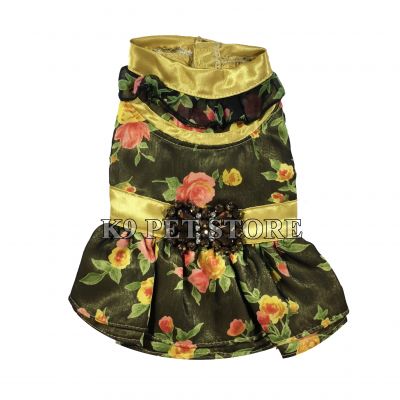 Đầm Thái cho thú cưng