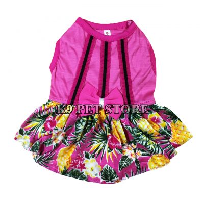 Đầm Thái cho thú cưng