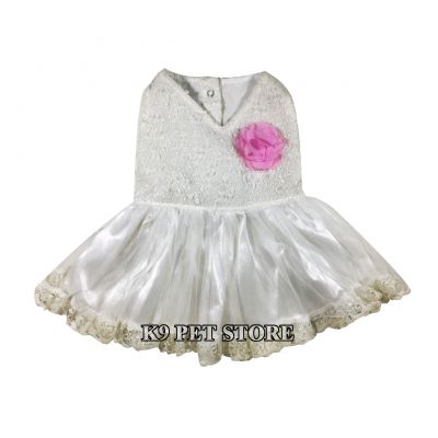 Đầm Thái cho thú cưng