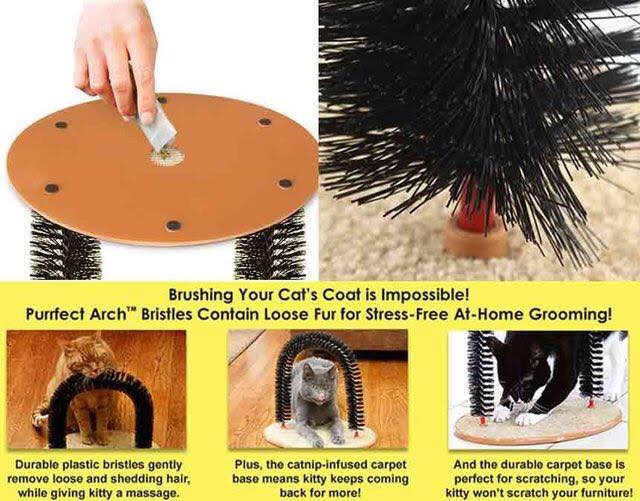 37697118_2363608830532501_8198590357538078720_n