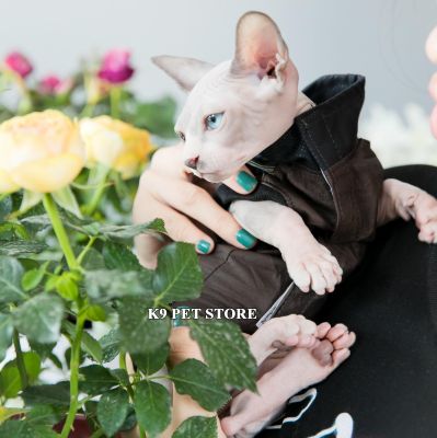 Áo khoác da ngầu cho chó mèo