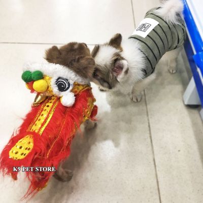 Áo cosplay hình con lân cho chó, mèo