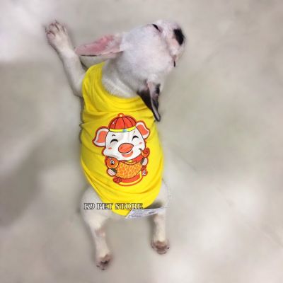 Áo Tết hình con heo thần tài cho chó, mèo