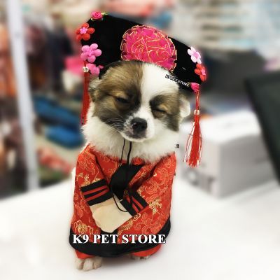 Bộ hoàn châu, công chúa cách cách cho chó, mèo