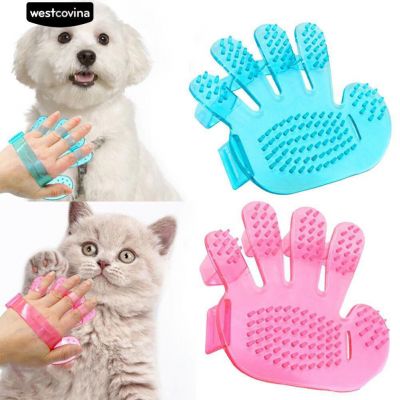Bàn tay tắm cho chó, mèo