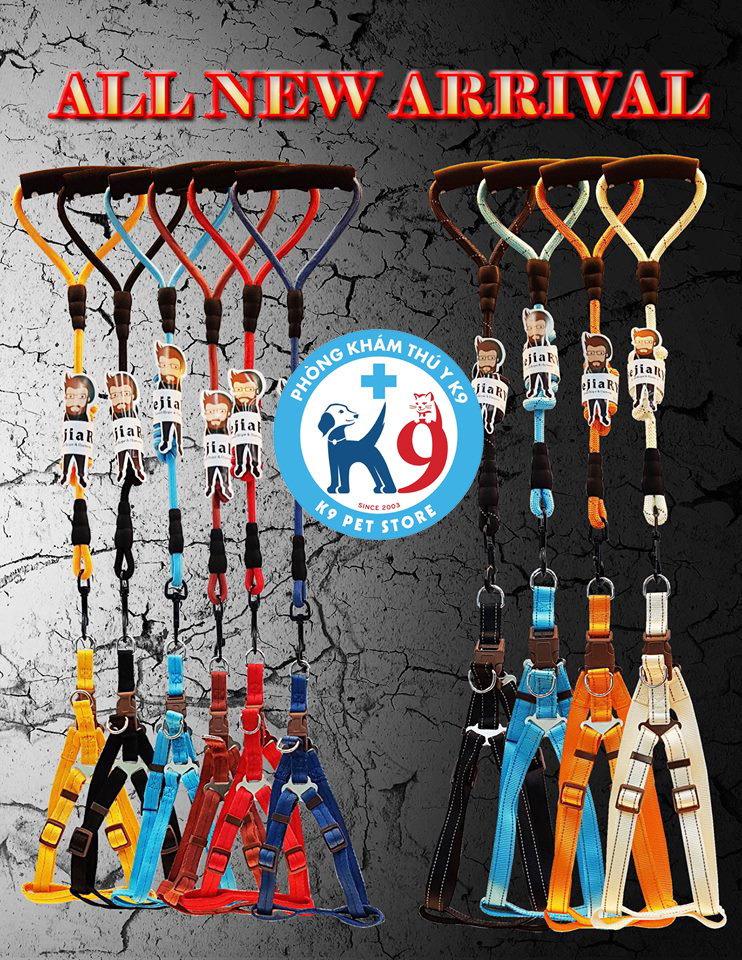 Yếm kèm dây dẫn cho chó mèo Thái - Pet8