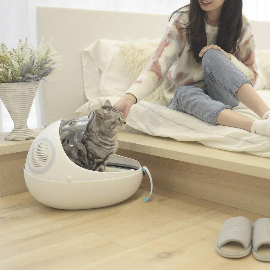 sole-company_20200212080452-00078