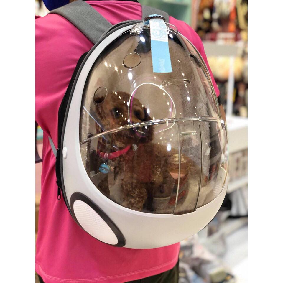 93373250_2887028848190494_3239820567267770368_n