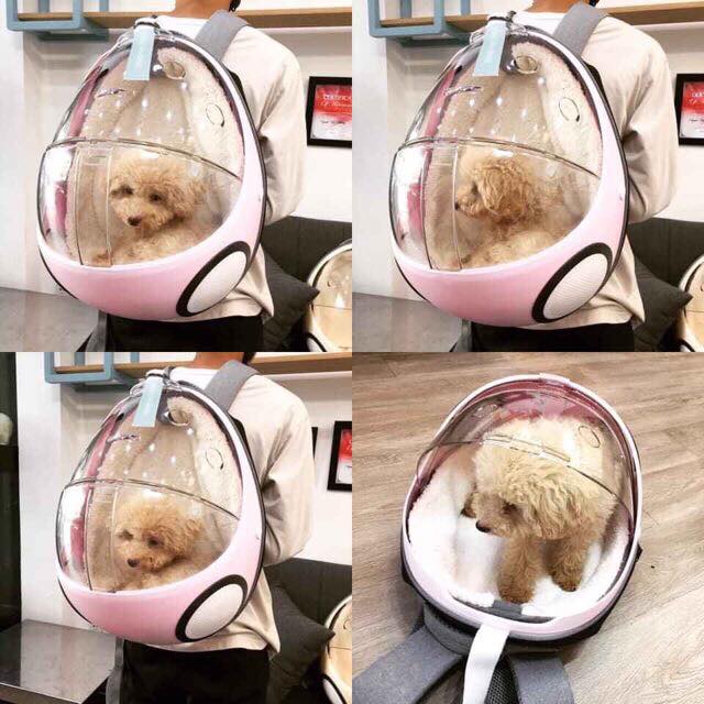 93476652_2887028618190517_1790288788702887936_n