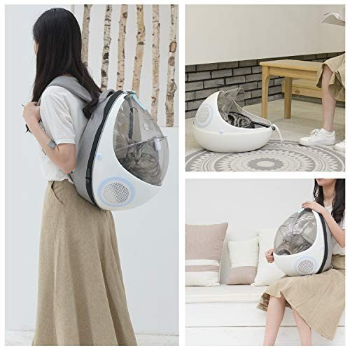 angelsnow_an07vvj55l3