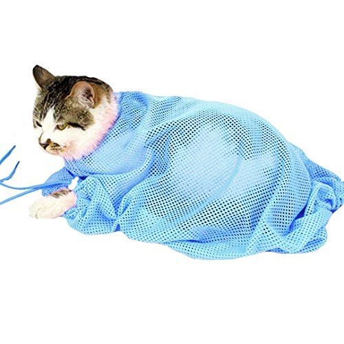 180566198_3240793186147390_7173960941695627294_n