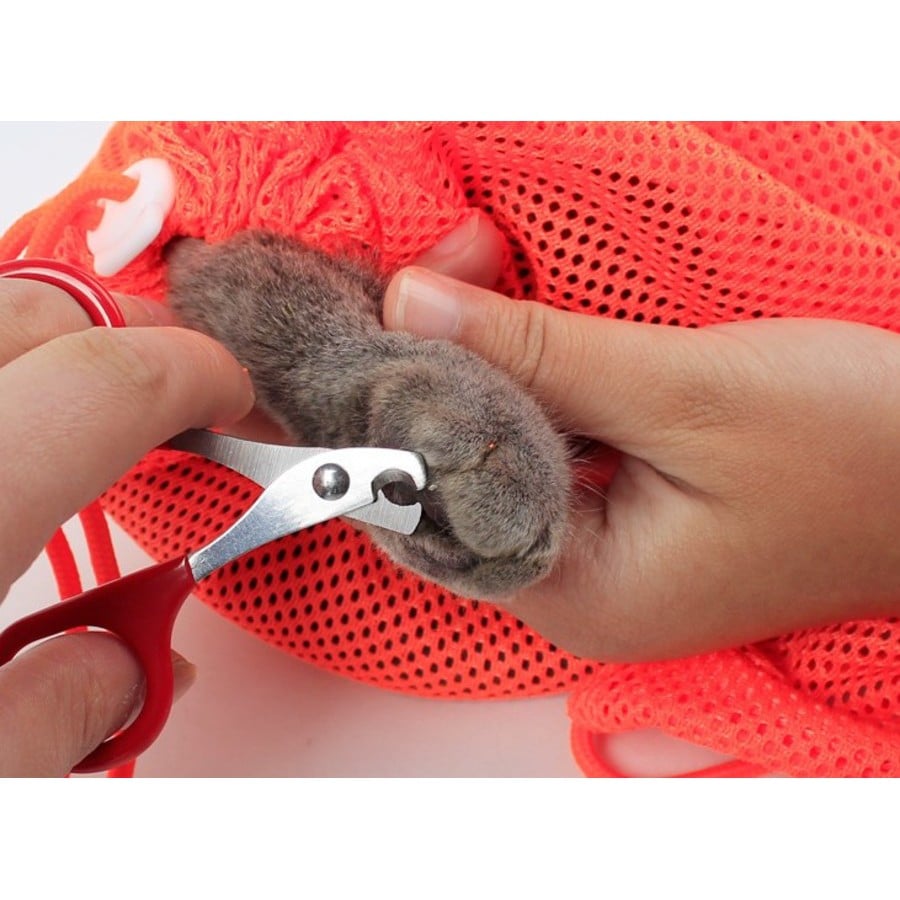 181295836_3240793216147387_8565165936320796683_n