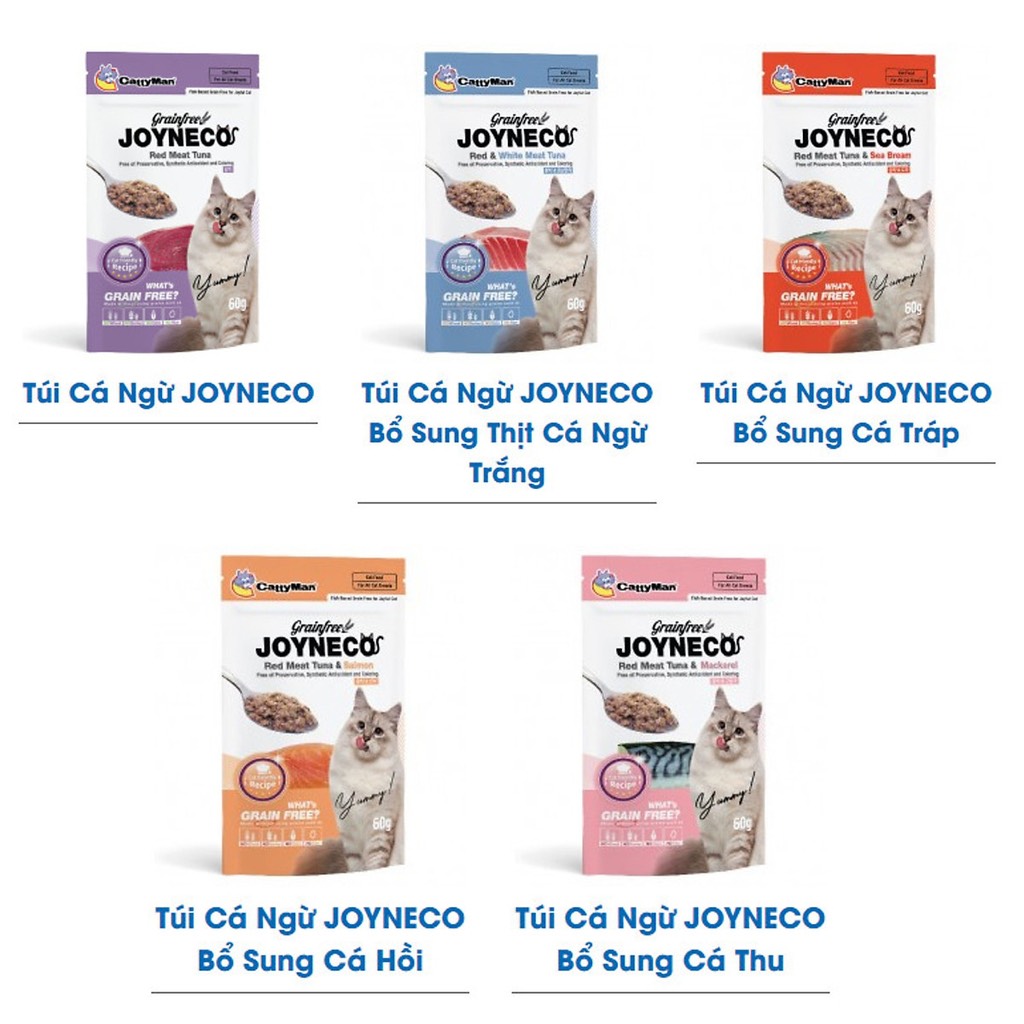 Pate cho mèo CattyMan Joyneco 60g