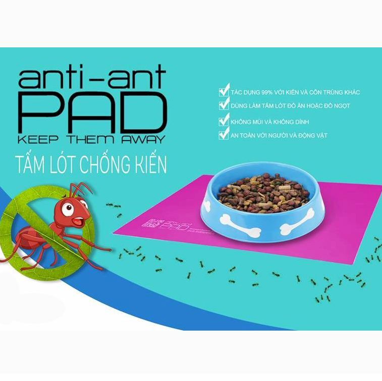 Tấm lót chống kiến và côn trùng Anti Ant Pad 30x42 (màu trắng trong)
