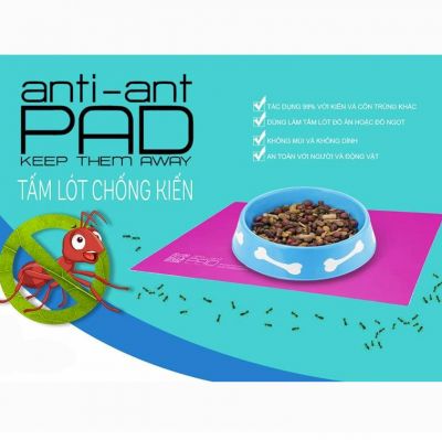 Tấm lót chống kiến và côn trùng Anti Ant Pad 30x42 (màu trắng trong)