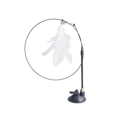 Cần câu mèo hít sàn lông vũ