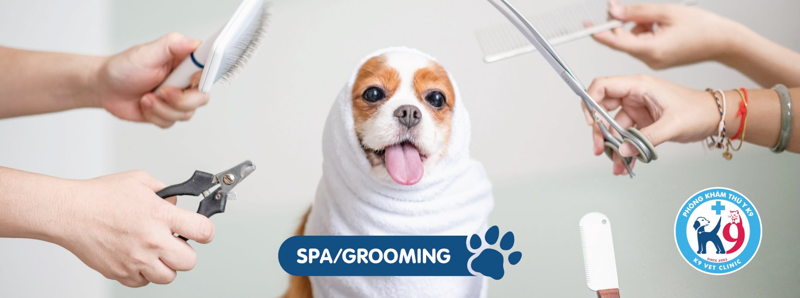 SPA/Groomig