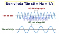 Tần số là gì? đơn vị đo tần số là gì? (đơn giản nhất)