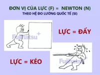 Đơn vị đo của lực là gì? lực là gì?