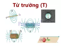 Cường độ của từ trường là gì? đơn vị của nó là gì?