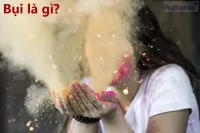 Bụi là gì? Bụi có những loại nào?