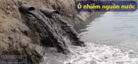 Ô nhiễm nước là gì? nguyên nhân gây ô nhiễm nước?