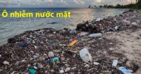 Tầng nước mặt là gì? Ô nhiễm nước mặt là gì?