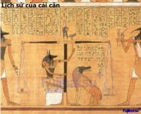 Lịch sử của cân trọng lượng? - Cân điện tử Fujihatsu