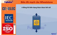 CẤU TẠO CỦA CẢM BIẾN TẢI TRỌNG CÂN ĐIỆN TỬ VÀ THIẾT BỊ KHÁC - CÂN ĐIỆN TỬ FUJIHATSU