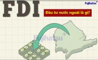 ĐẦU TƯ TRỰC TIẾP NƯỚC NGOÀI (FDI) LÀ GÌ? NỘI DUNG VÀ ĐẶC ĐIỂM - THÔNG TIN CỦA WTO