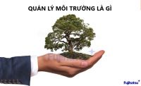 MÔI TRƯỜNG LÀ GÌ? HỆ THÔNG QUẢN LÝ MÔI TRƯỜNG (EMS) LÀ GÌ? THÔNG TIN CHÍNH THỨC