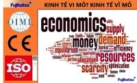 KINH TẾ VI MÔ LÀ GÌ? KINH TẾ VĨ MÔ LÀ GÌ? THÔNG TIN QUỐC TẾ TỪ MỸ