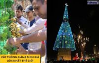 CÂY GIÁNG SINH GIẢ LỚN NHẤT THẾ GIỚI THEO GUINNESSWORLDRECORDS