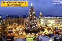 Cây thông noel thật cao nhất thế giới theo Guinnessworldrecords