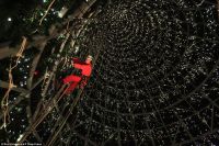 CẤU TRÚC CÂY THÔNG NOEL LỚN NHẤT THẾ GIỚI THEO GUINNESSWORLDRECORDS