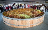MÓN SALAD TRÁI CÂY LỚN NHẤT THẾ GIỚI - CÂN ĐIỆN TỬ FUJIHATSU