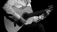 ĐÀN GUITAR ACOUSTIC LỚN NHẤT THẾ GIỚI - CÂN ĐIỆN TỬ FUJIHATSU