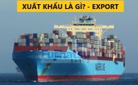XUẤT KHẨU LÀ GÌ? ĐẶC ĐIỂM CỦA XUẤT KHẨU - CÂN ĐIỆN TỬ FUJIHATSU